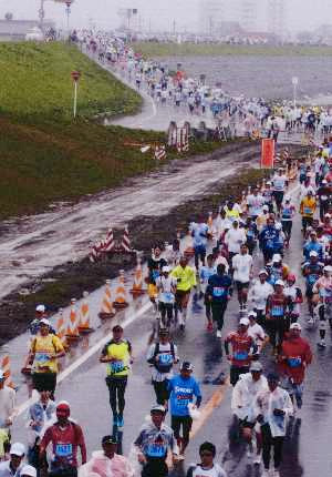 平成24年4月22日　第5回とくしまマラソン