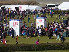 2013年2月3日　淀川寛平マラソン